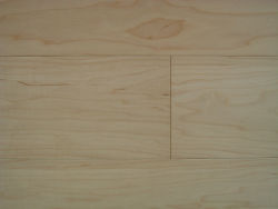 Клен Монтан